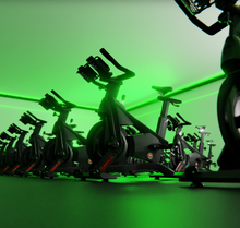 Load image into Gallery viewer, SCHWINN X BIKE